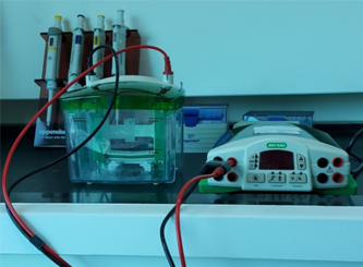 LIST OF EQUIPMENTS OF GMO DEPARTMENT