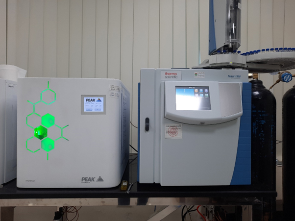 Gas Chromatography System GC-FID/ECD of Thermo Scientific